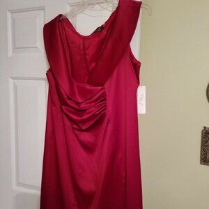 Eliza J New York Wine dress